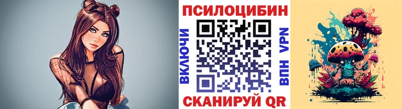 Галлюциногенные грибы Cubensis  цены   Циолковский 