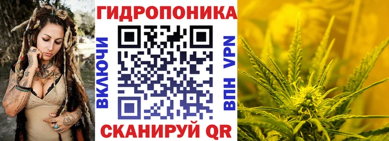 кракен зеркало  Циолковский  МАРИХУАНА марихуана 